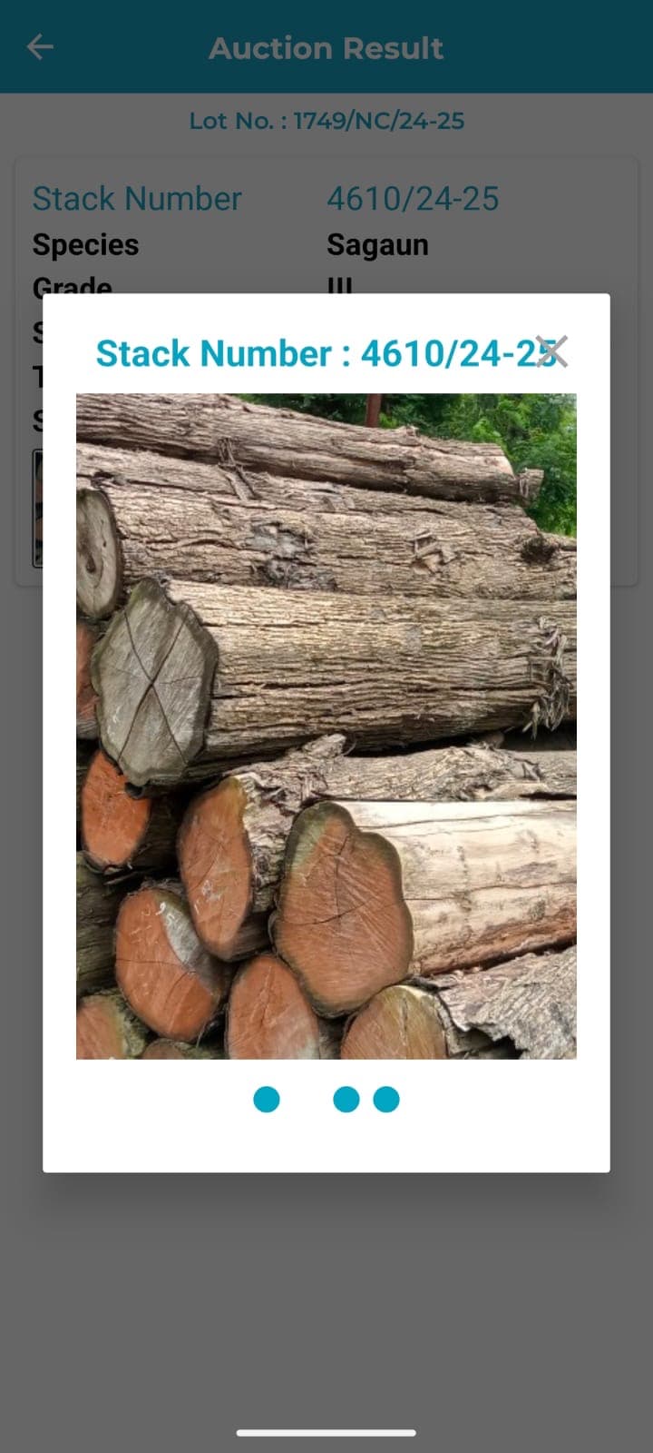 Wood Logs